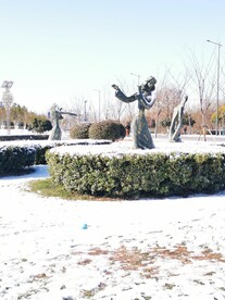 雪景