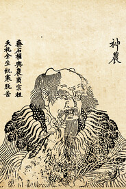 神农画像