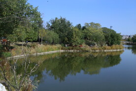 龙潭中湖风景 