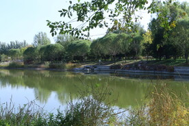 龙潭中湖风景