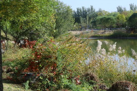 龙潭中湖风景 