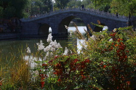龙潭中湖风景 