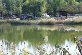 龙潭中湖风景