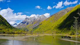 山水