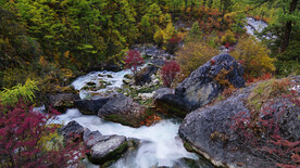山水