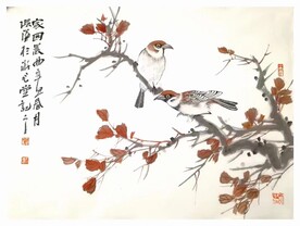 家园晨曲