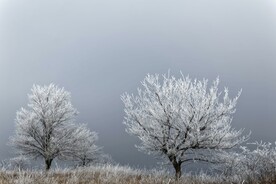 雪景             