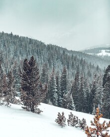 雪景             