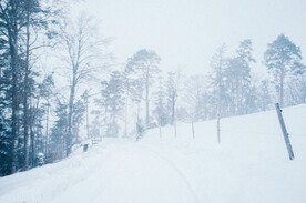 雪景             