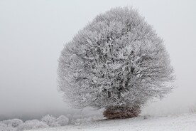 雪景             