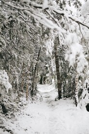 雪景             