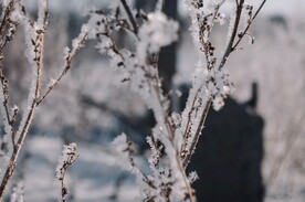 雪景             