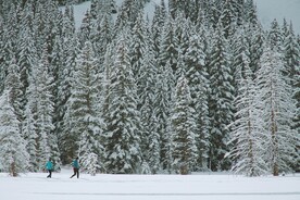 雪景             