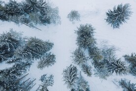 雪景             