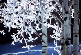 雪景             
