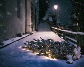 雪景             