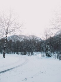 雪景             