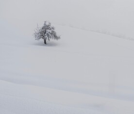 雪景             
