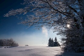 雪景             
