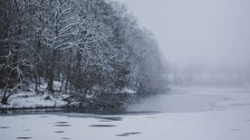 雪景             