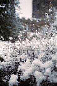 雪景             