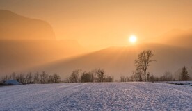 雪景             