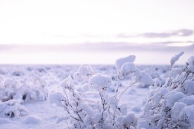 雪景             