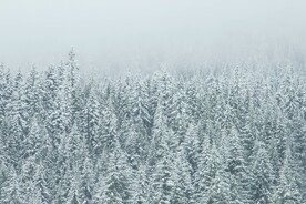 雪景             