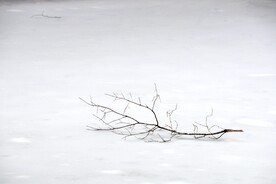 雪景             