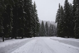 雪景             
