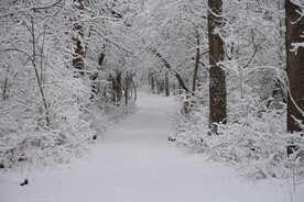 雪景             