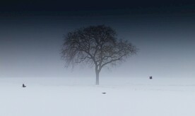 雪景             