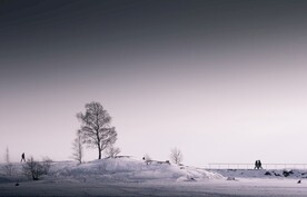 雪景             