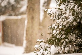 雪景             