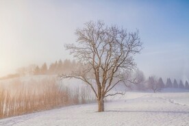 雪景             