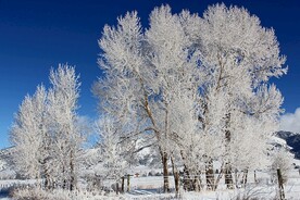 雪景             