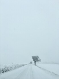 雪景             
