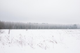 雪景             
