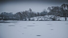 雪景             