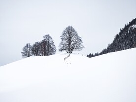 雪景             