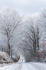雪景             