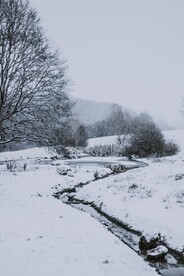 雪景             