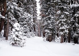 雪景             