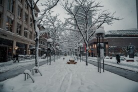 雪景             