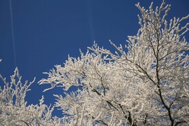 雪景             