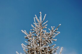 雪景             