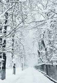 雪景             