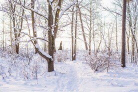 雪景             