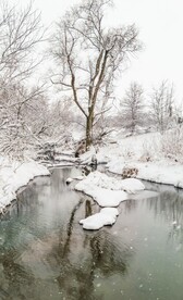 雪景             