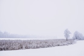 雪景             